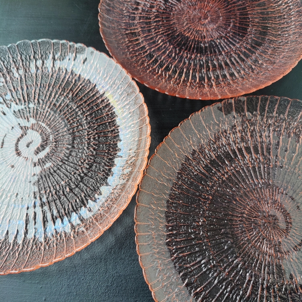 3 | Arcoroc | Pink  9.5 Textured Glass Dinner 🍽️ Plates | Ammonite Fossil